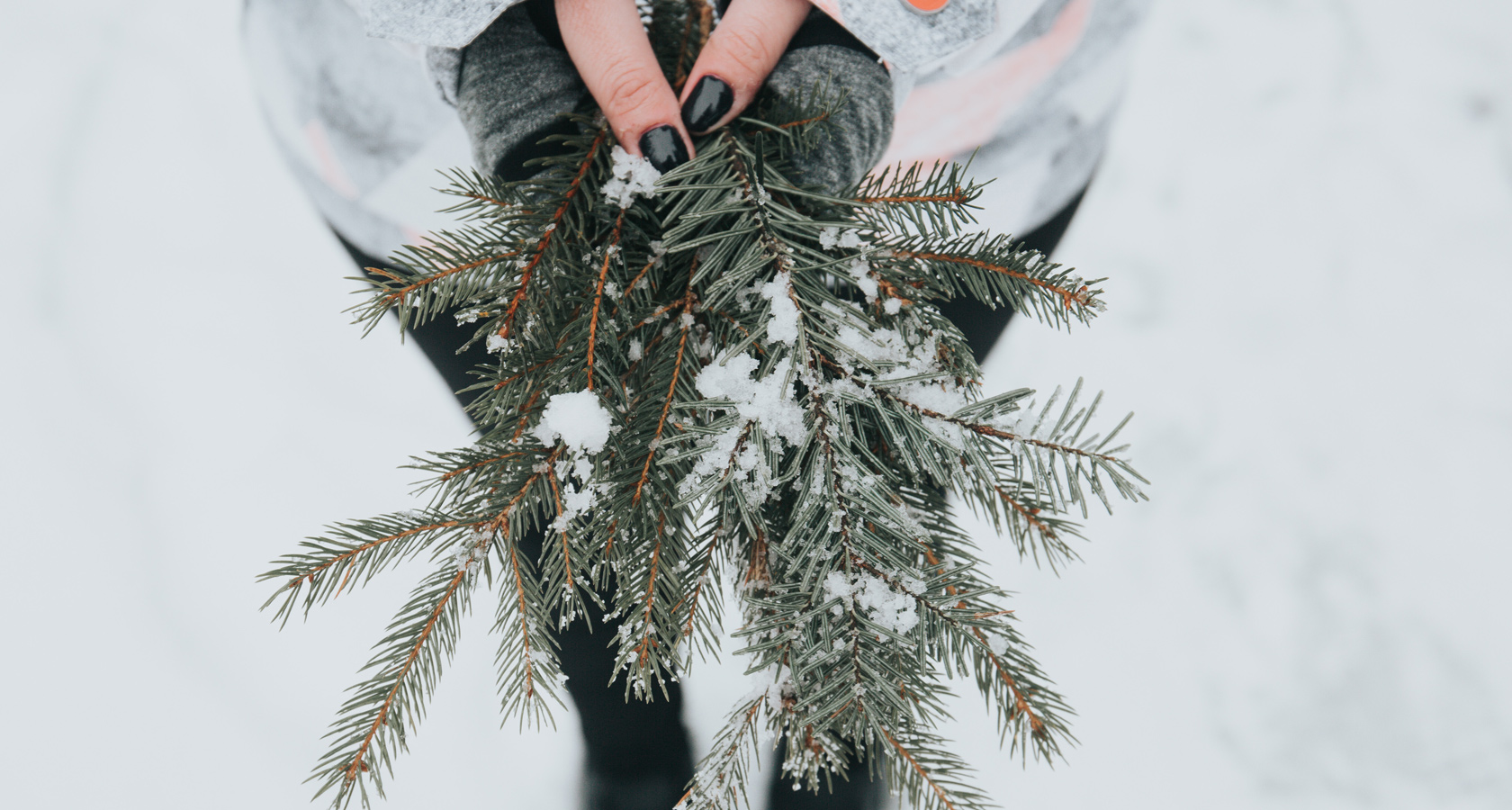 Wintertag Rosen schenken - mit LIEBLINGSROSEN in den Winter starten