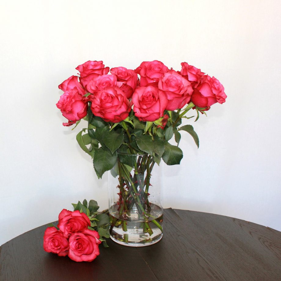 Pinke Rose Lola - Jetzt bestellen bei Lieblingsrosen.com